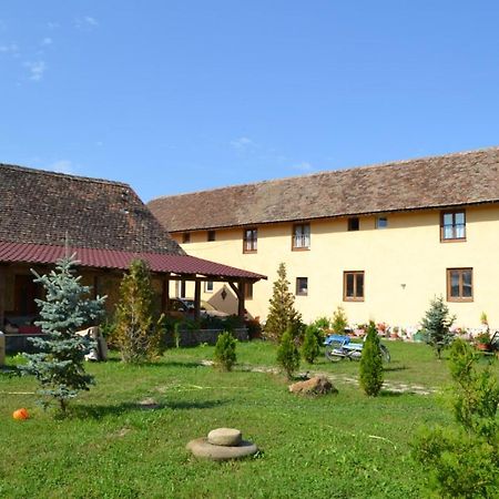 Casa Maria Apartment Cincu Екстериор снимка
