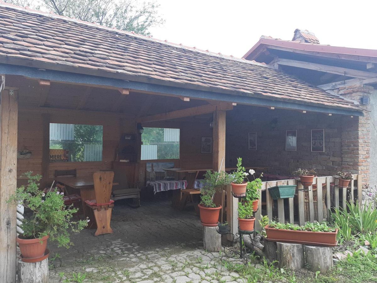 Casa Maria Apartment Cincu Екстериор снимка