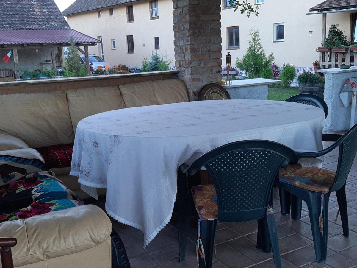 Casa Maria Apartment Cincu Екстериор снимка