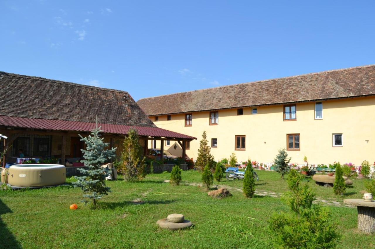 Casa Maria Apartment Cincu Екстериор снимка