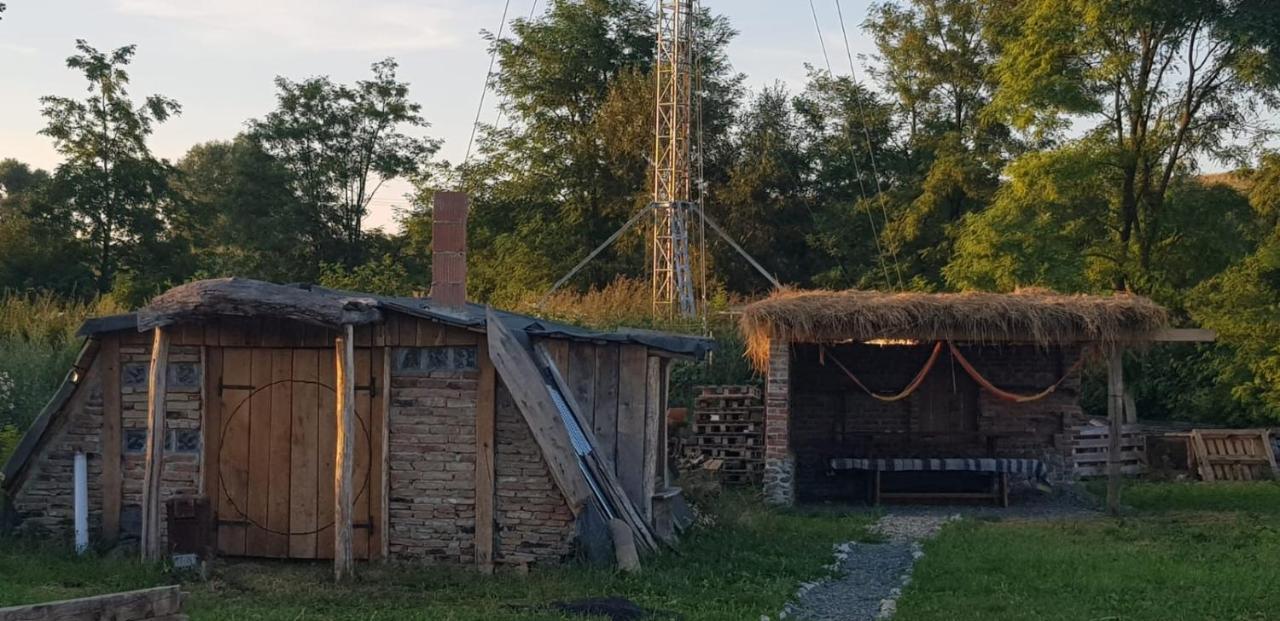 Casa Maria Apartment Cincu Екстериор снимка