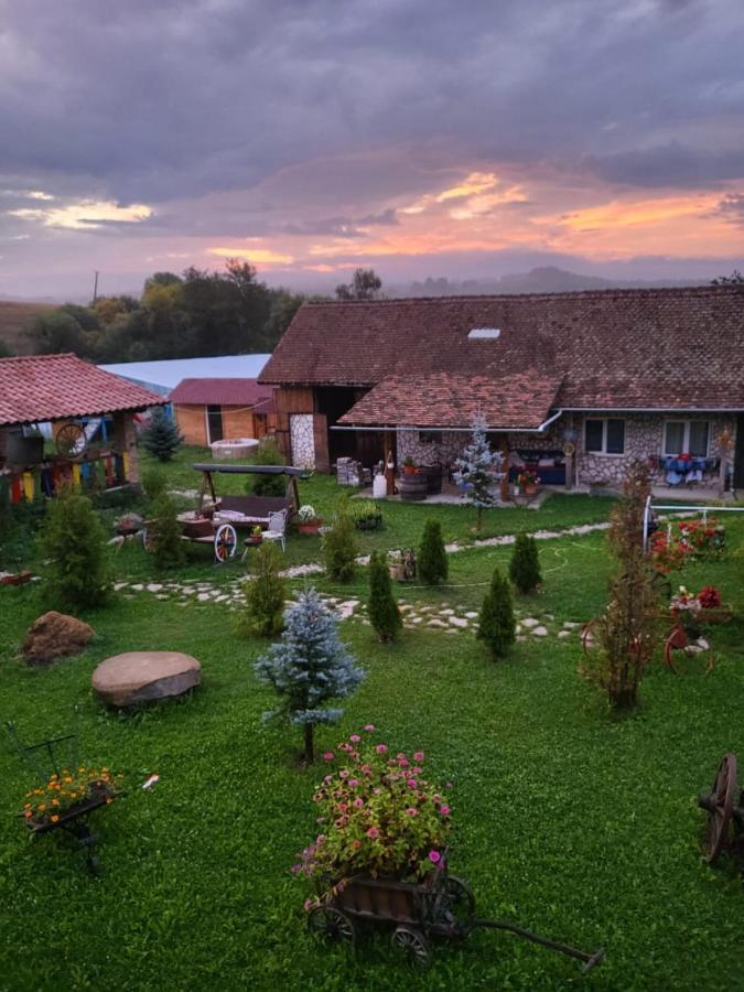 Casa Maria Apartment Cincu Екстериор снимка