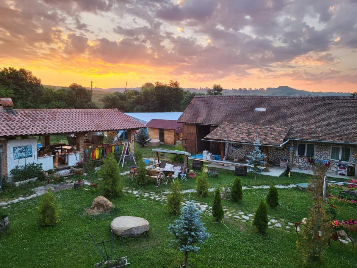 Casa Maria Apartment Cincu Екстериор снимка