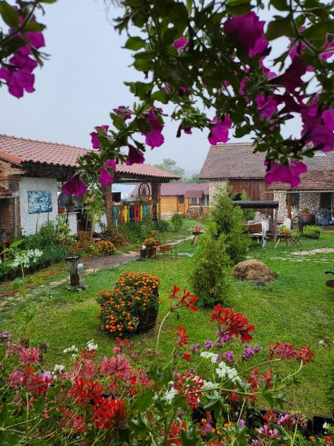 Casa Maria Apartment Cincu Екстериор снимка