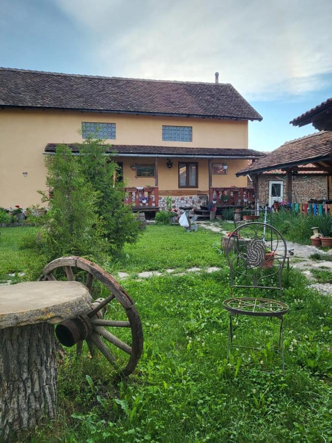 Casa Maria Apartment Cincu Екстериор снимка