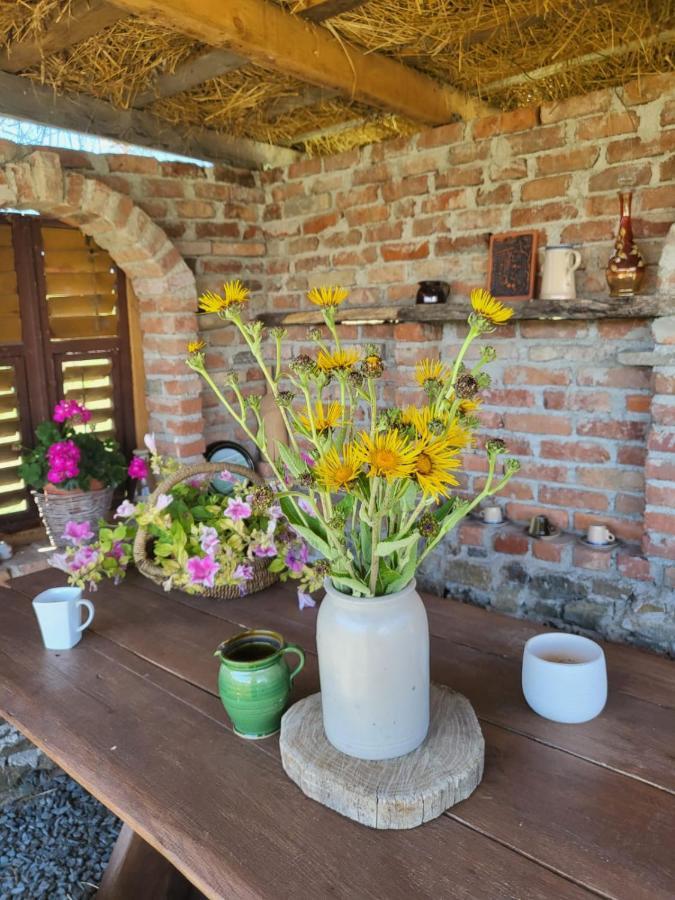 Casa Maria Apartment Cincu Екстериор снимка