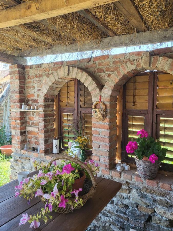 Casa Maria Apartment Cincu Екстериор снимка
