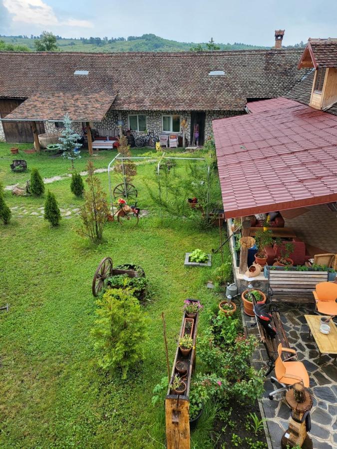 Casa Maria Apartment Cincu Екстериор снимка