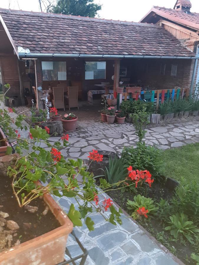 Casa Maria Apartment Cincu Екстериор снимка