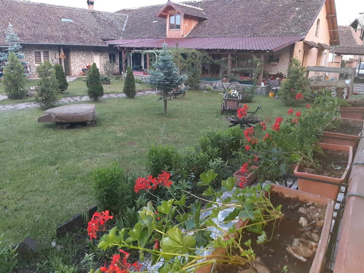 Casa Maria Apartment Cincu Екстериор снимка
