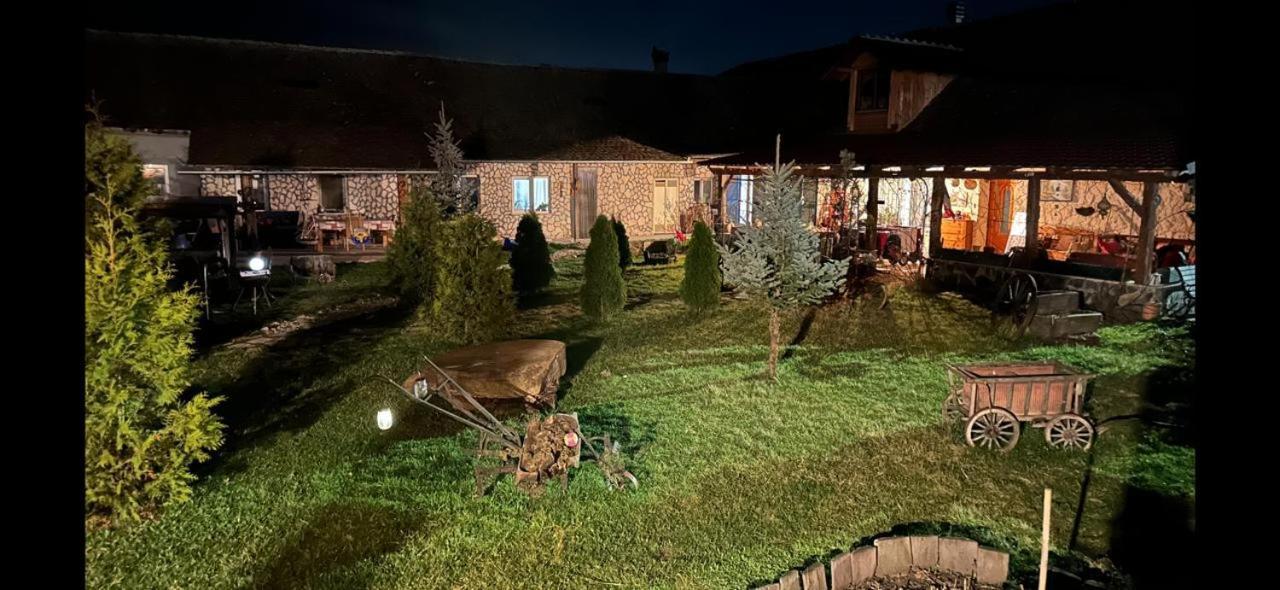 Casa Maria Apartment Cincu Екстериор снимка